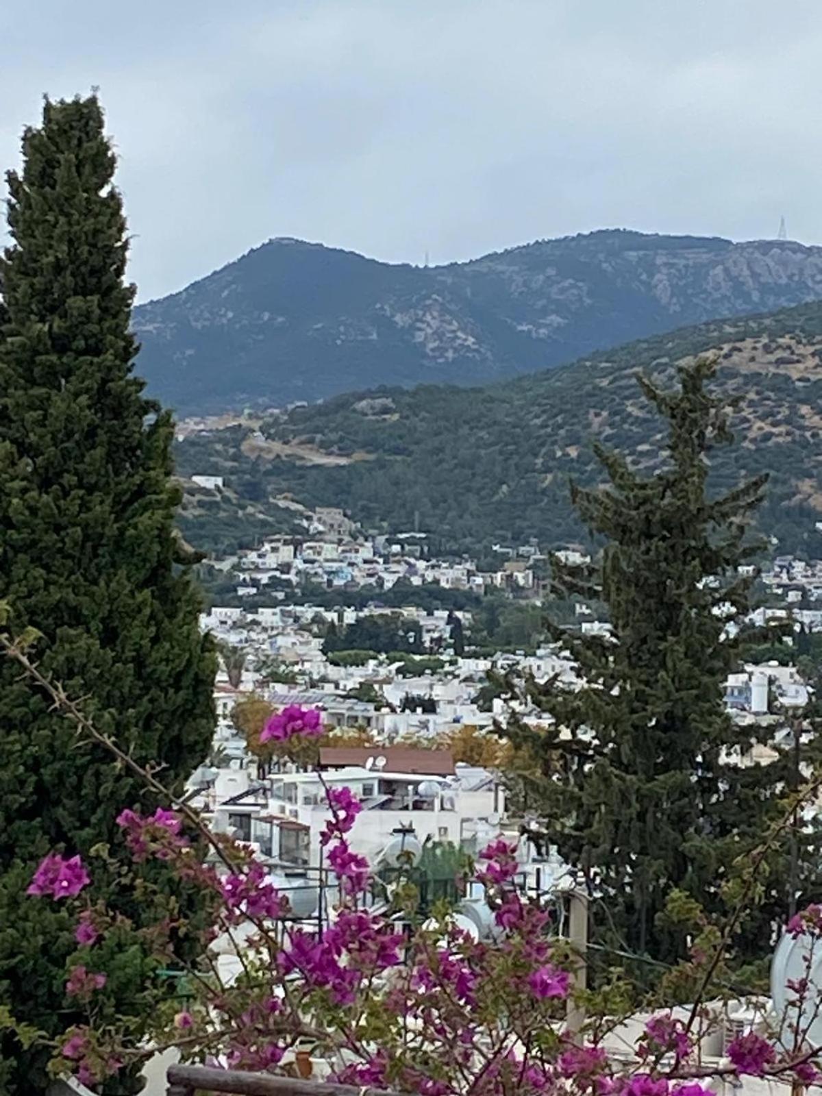 Izan Villa Bakis Apartments Бодрум Екстер'єр фото